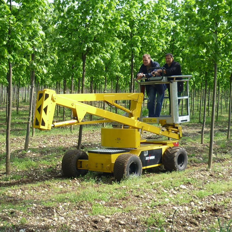 ST120 Revolutionizes Orchard Maintenance and Picking